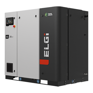 ELGI Air Compressor